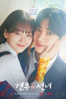 Head over Heels (2025)